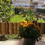 Casa Mameli αpartments 公寓 *