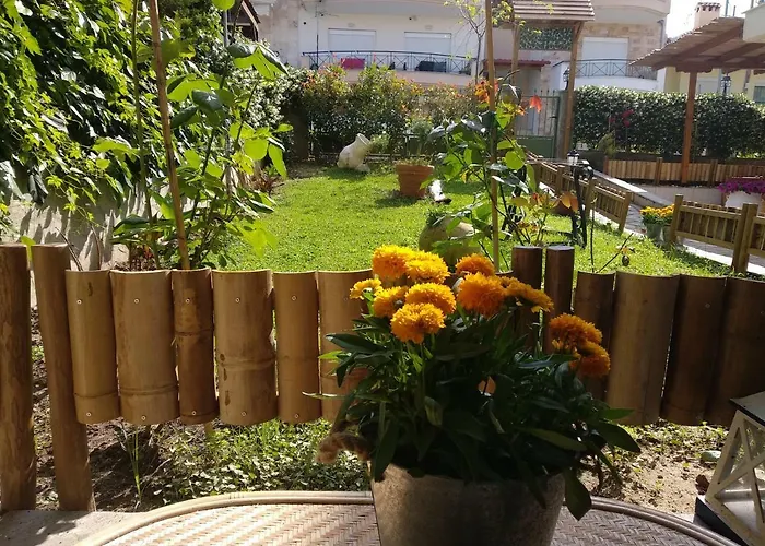 Casa Mameli αpartments 公寓 *